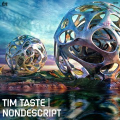 [SNIPPET]_TiM_TASTE_-_Nondescript_(_Original_Mix_)