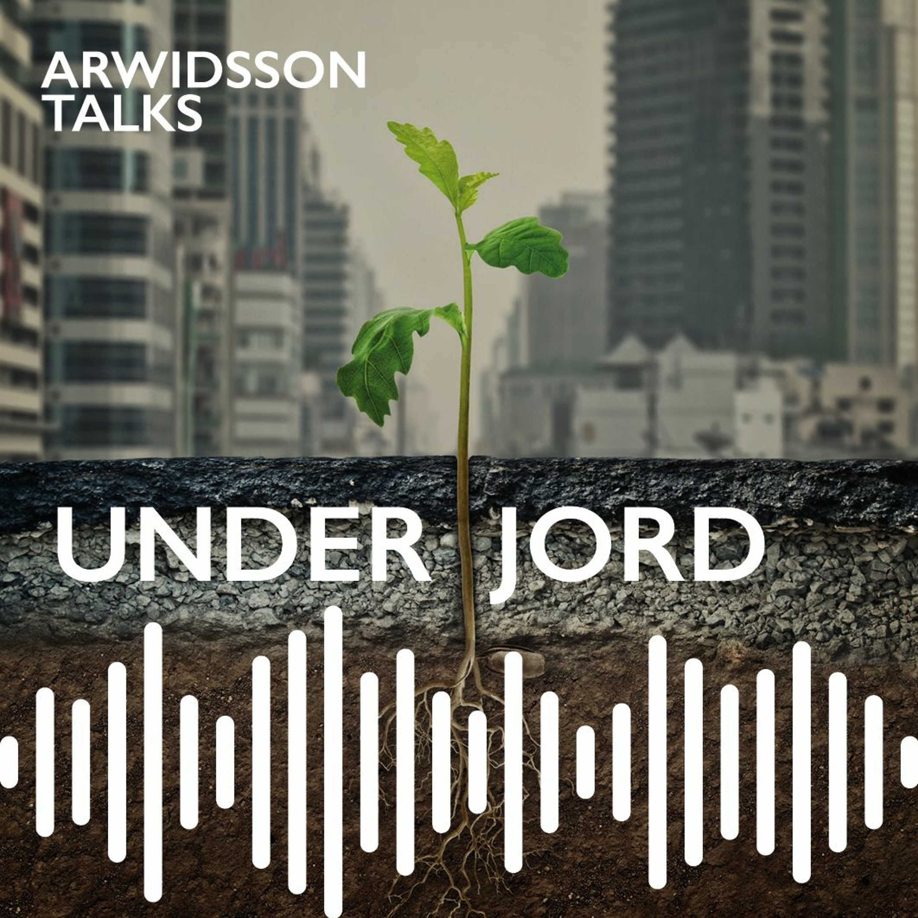 Arwidsson Talks