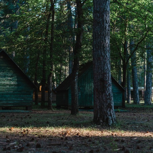 Perpendicular 2022 - Ambient sets