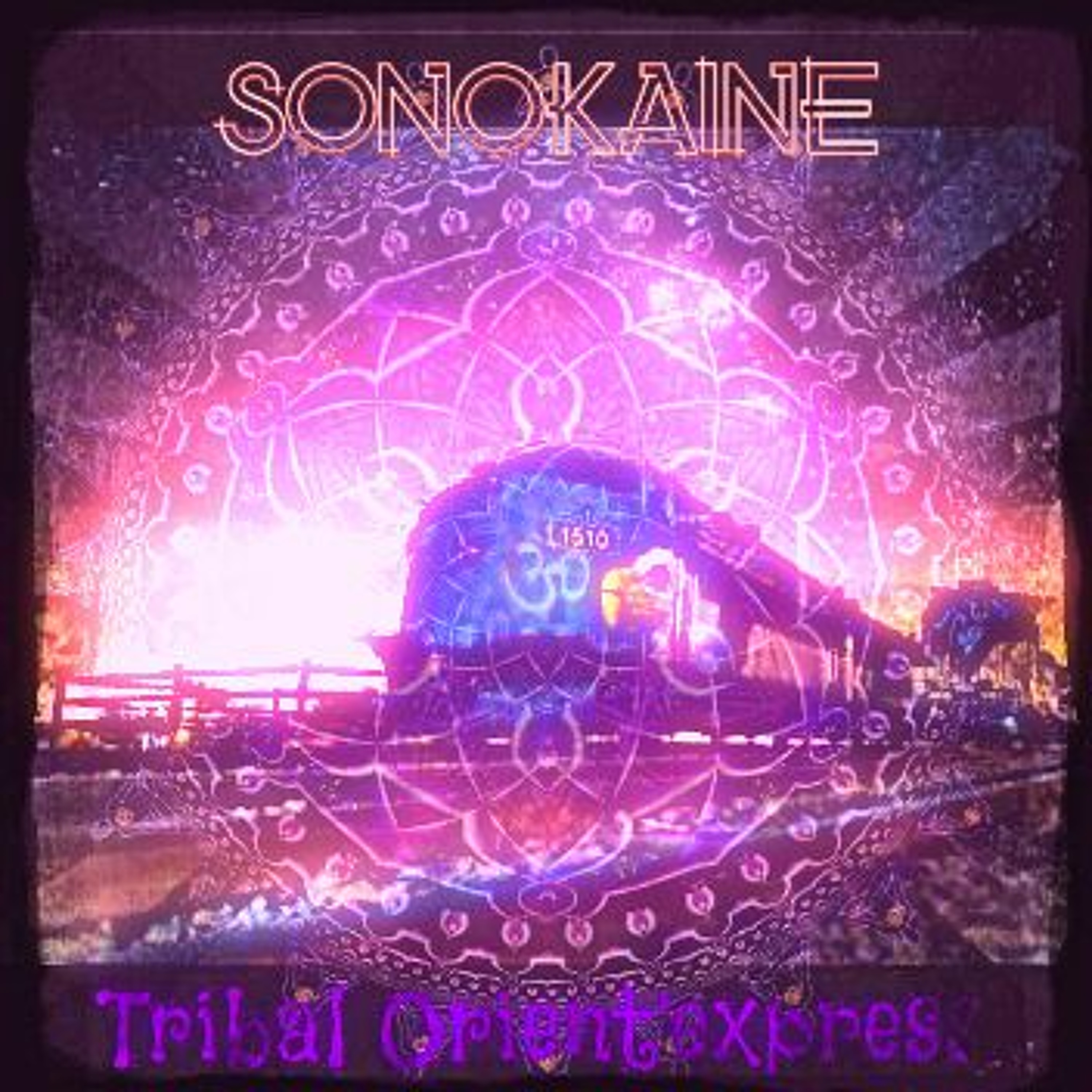 Sonokaïne