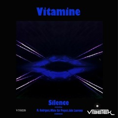 Vitamine - Silence (original mix).wav