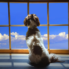 Left Me (prod. MoshJiller)