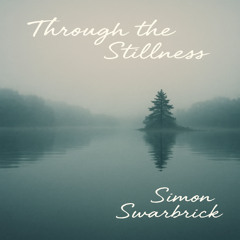 Through the Stillness