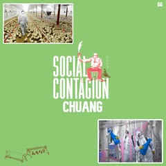 66. Social Contagion | Chuang