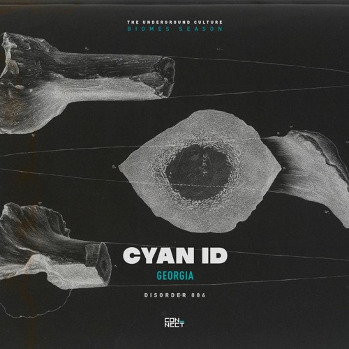 Ćyan ID @ Disorder #086 - Georgia