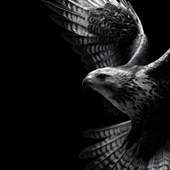 THE HAWK