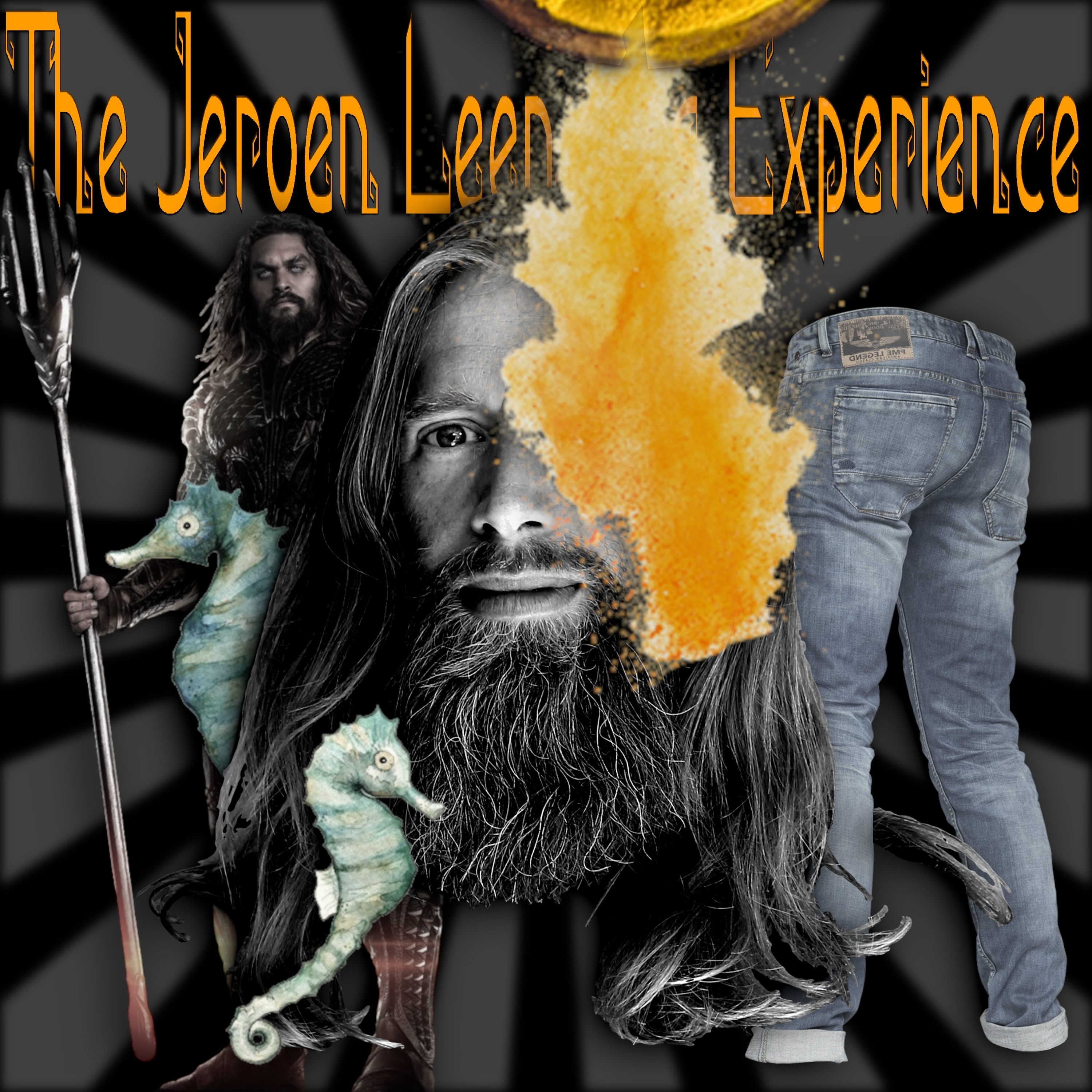 Jeroen Leenders Experience