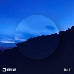 TRIP 01 - House, Breaks, Experimental