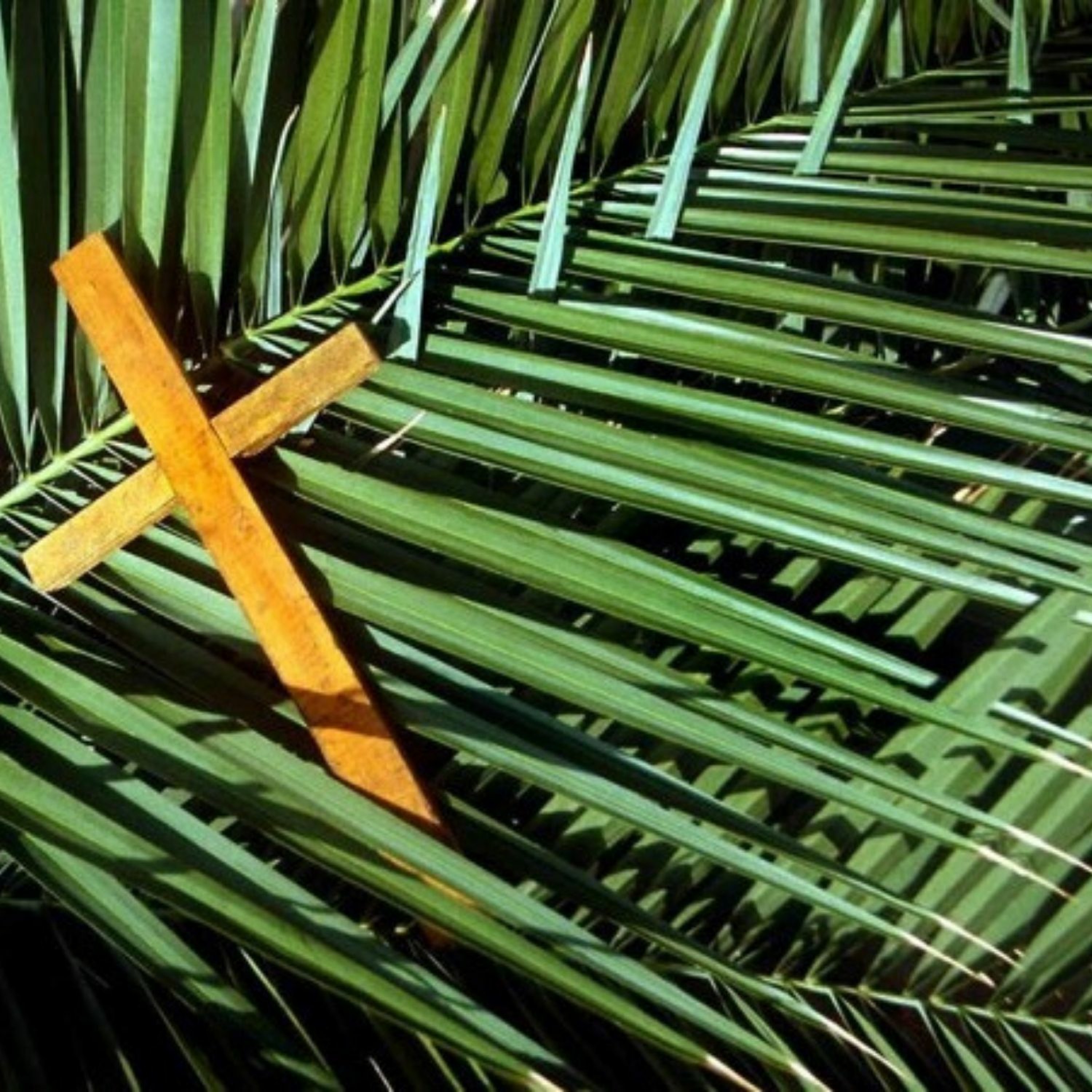 Sermons