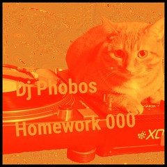 DJ Phobos - Homework 000