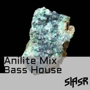 Anilite Mix - Bass House - 09/10/25 cover art
