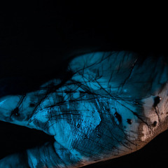 The Shell