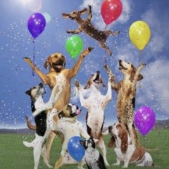 im actually so sleep deprived rn