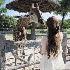 10 mất 1 còn không (remix)