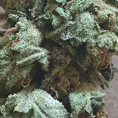 Fields of Green !!!!!!!!!!