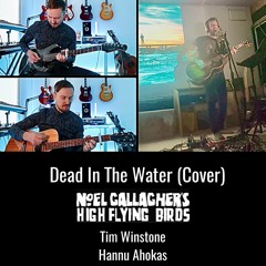 Dead In The Water- Noel Gallagher (Cover)