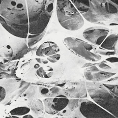 emphysematous