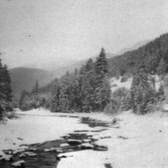 Depressive Black Metal - 7