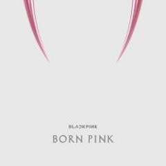 블랙핑크 - Pink Venom(-2key) [Lamb Bobby's Cover]