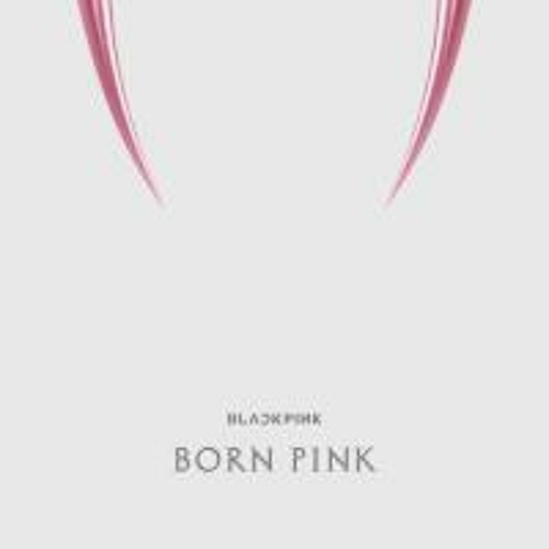 블랙핑크 - Pink Venom(-2key) [Lamb Bobby's Cover]