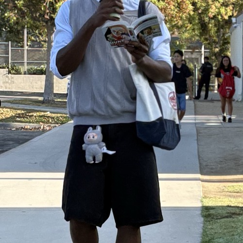 monsters in my basements