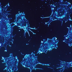 What’s right: Device clears tumors in 82% of treatment-resistant bladder cancer patients