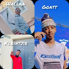 venaan se plane kleintjie ft goat ft wallaa.mp3