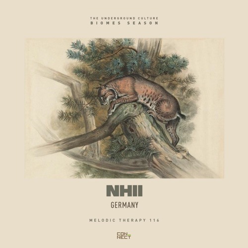 Nhii @ Melodic Therapy #116 - Germany