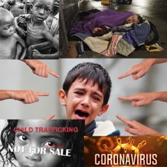 Have You Seen Today?