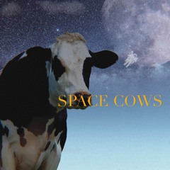 straightforward 🔥🌡️🥵