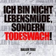 Auf Krawall gebürstet