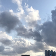 이리와 (feat. 156)