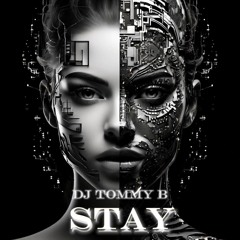 Stay - DJ Tommy B.mp3