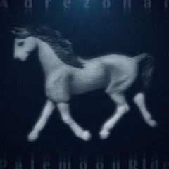 Palemoon Ride