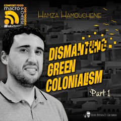 Dismantling Green Colonialism Part 1 with Hamza Hamouchene