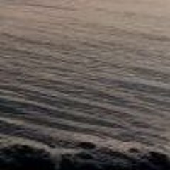 Chris Capulet- Anatomy