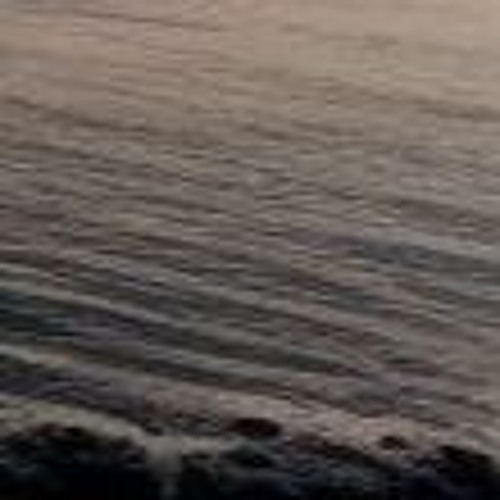 Chris Capulet- Anatomy