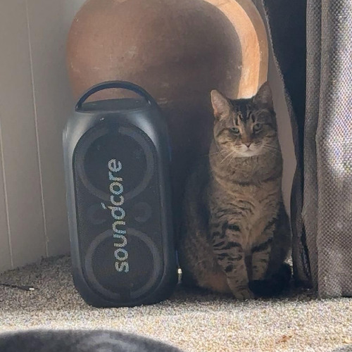 strummy tunes #3 (dubstep and riddim)