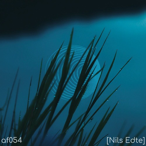 AFO54 Nils Edte