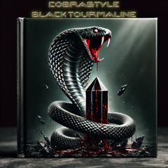 Teddybears - Cobrastyle (Black Tourmaline Schranz Bootleg)