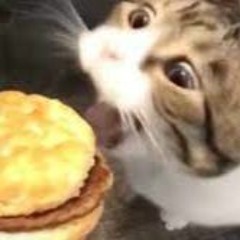 burger.mp3