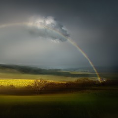 2deep (with lycoris)