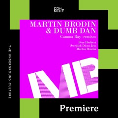 PREMIERE: Martin Brodin & Dumb Dan - Gamma Ray (Pete Herbert Remix) [MB Disco]