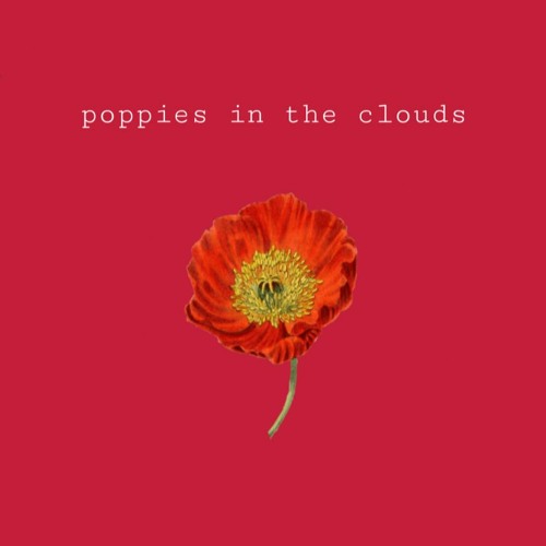 Poppies In The Clouds