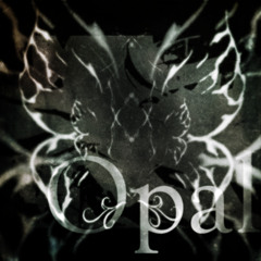 Opal [music video in bio]