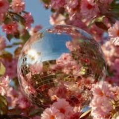 Springtime Prayers & Discoballs