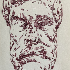 Me and the birds Duster - Cover