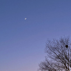 Better Day (feat 유진, 주화, 동우, 영찬, 성욱) Prod. conatus