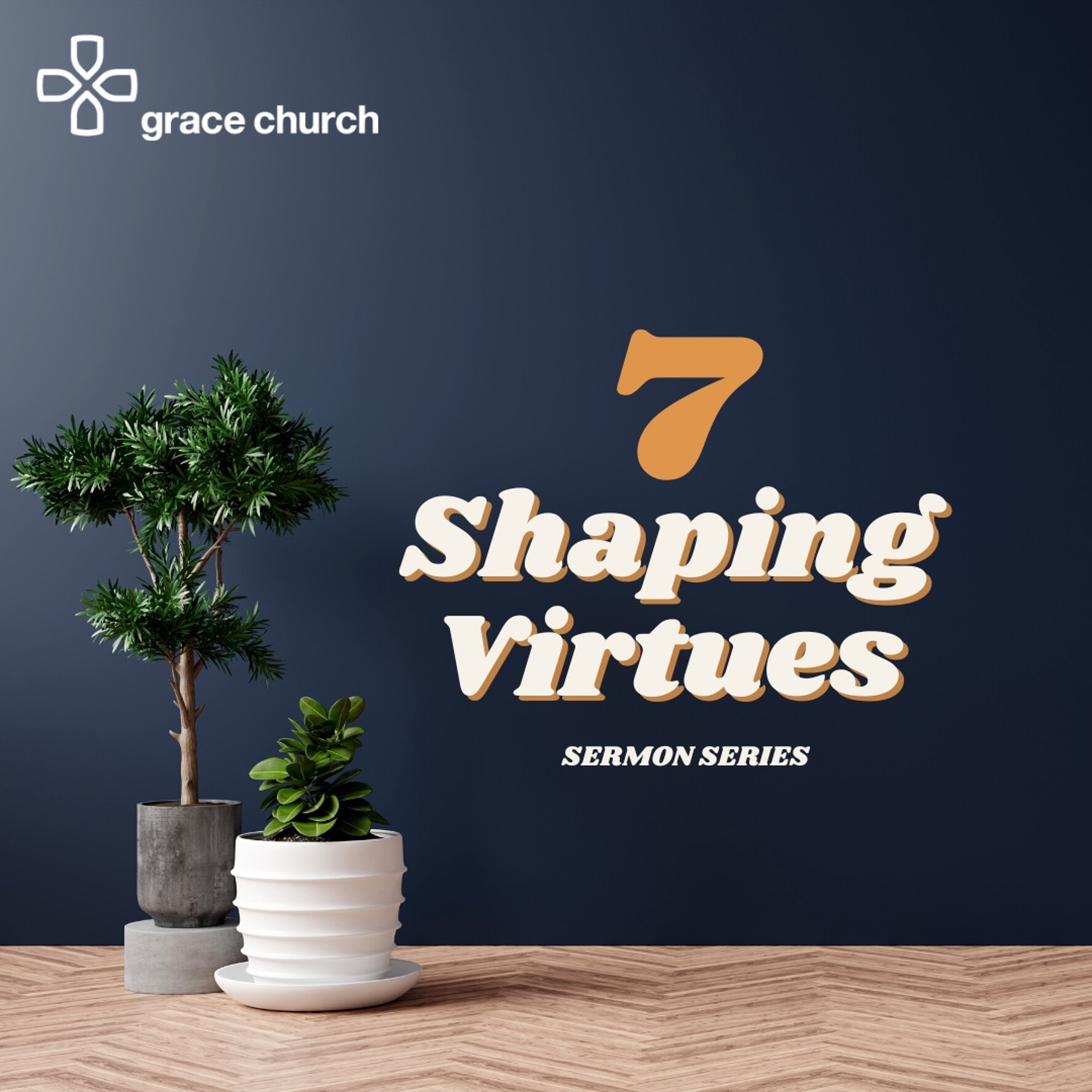 Shaping Virtue #5: Generosity (Pt.1) | 13/11/22 | Peter Bowley