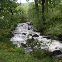 Moving Along the River, by Patterns of Life